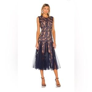 Bronx and Banco Navy and Nude Lace Dress
